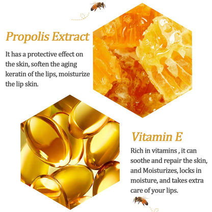 Bee Honey Pot Lip Mask – Hydrating Lip Care | 3, 6 & 8 PCS